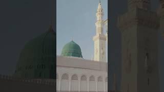 Roza-e- Rasool ( S.A.W) || #live #madina #masjidnabawi #shorts #rozaerasool