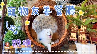 放狗好去處｜觀塘寵物友善餐廳｜Be Leaf  ｜西摩犬Tako ｜@big_dog_channel