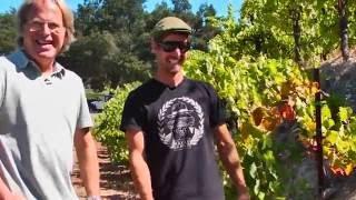 JAMESSUCKLING.COM - Paso Robles - Saxum - The Vineyard