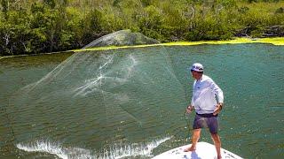 Castnetting THOUSANDS of fish - Butterflied Yellowtail Snapper! {Catch Clean Cook} US Virgin Islands