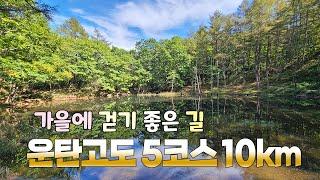 가을에 걷기 좋은 길 | 운탄고도 1330 | 한국의 차마고도 | 강원도 정선편 | 운탄고도 5코스 10km | 폐광지역을 걷는 길 | 시원한 풍경 맛집