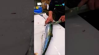 🪚 Bangada, Mackerel Fish Cutting ASMR #mackerel #kembung #fishcutting #cuttingfish #shorts  #viral