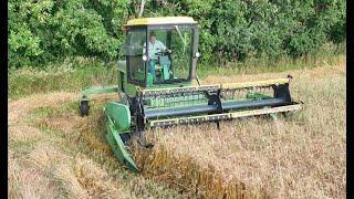 Dave Cutting Winter Wheat In St. Stephen MN, July 16 2024.