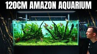 4ft AMAZON INSPIRED ANGELFISH AQUARIUM - Full Step By Step Aquascape Tutorial