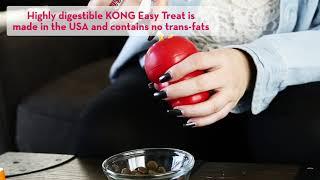 KONG Easy Treat - Dog Treats