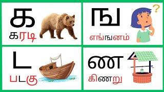 உயிர்மெய் எழுத்துக்கள் | க ங ச ஞ ட ண வரிசை சொற்கள் | uyirmei eluthukkal in tamil | tamil alphabets