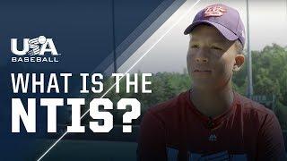 What Is NTIS?