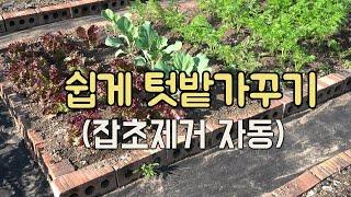 텃밭 가꾸기  풀뽑는 시간 줄이고 쉽게 채소 키우는 방법