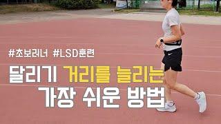 초보러너, 이것만 바꾸면 누구나 장거리 달리기가 가능합니다 #장거리달리기 #LSD훈련