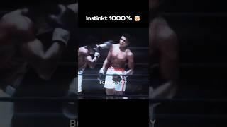 Boks QIROLI - Muhammad Ali  #shorts #boks
