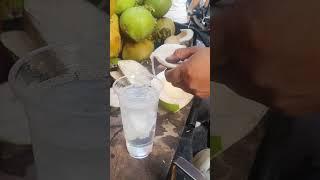 The Most Satisfying Coconut Experience