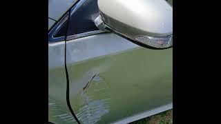 2014 Toyota Avalon future repair of left fender, left front door skin or shell and minor A pillar.