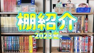 ちょっと掃除＆整理したので棚紹介！【名探偵コナン/ゲゲゲの鬼太郎】