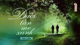 DƯỚI TÁN ME XANH - Mối hận với mẹ già hai mươi năm | Đất Quê Radio