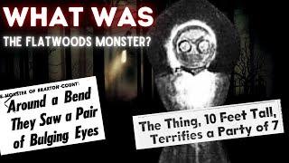 The Terrifying True Story of The Flatwoods Monster | Real or Hoax?