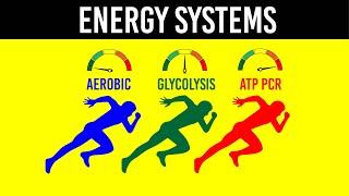 ENERGY SYSTEMS - Strength & Conditioning Essentials