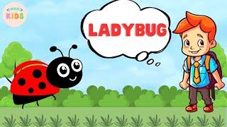 Ladybug Facts For Kids  Learn All About Ladybugs | MON Kids