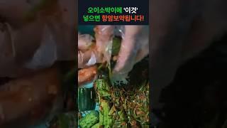 오이소박이에 '이것' 넣으면 '항암보약' 됩니다! 꼭 넣으세요!  #건강 #건강정보 #항암 #오이소박이 #오이