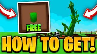 HOW TO GET BEANSTALK SEED (FREE) SHOWCASE in GROW A GARDEN! ROBLOX GROW A GARDEN