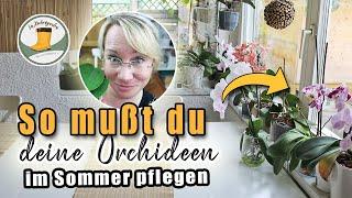  Was tun mit zu großen Zucchini?? Probiert mein REZEPT |  So überstehen deine Orchideen den Urlaub