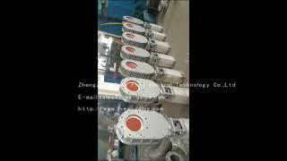 ceramic double disc gate valve