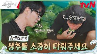 이거 왜 이래...? 설비부 해진의 상추 씻는 법 #highlight #삼시세끼Light EP.7