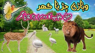 Visit Vehari Zoo Punjab Pakistan and Childrens Enjoy #vehari #zoo #punjab #pakistan