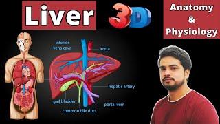 Liver anatomy and physiology in Hindi (Lobes, Segments, Kupffer cell, Hepatocytes, Function)