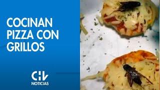 INNOVACIÓN EN LA COCINA | Crean recetas para cocinar pizza con grillos - CHV Noticias