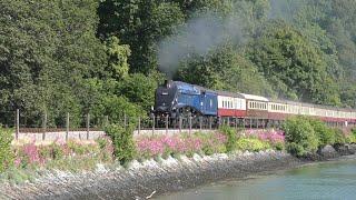 60007 Sir Nigel Gresley explodes with steam out of Kingswear - English Riviera Express - 03/06/2023