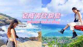 夏威夷歐胡島vlog｜五天四夜攻略 超寶藏の海豚灣 絕美登山步道️｜Oahu Hawaii Vlog｜妮可 Nicole Hsiao