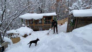 Alone in the Winter of the Mountains: Animals and Traditional Cooking.