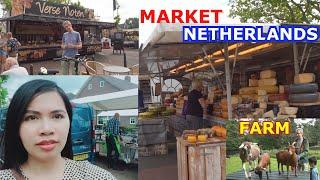 Market in the Netherlands | The farm with Happy Dutch family | Đi chợ ở Hà Lan cùng gia đình mình