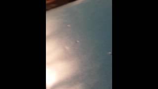 Poke-pro Trailer