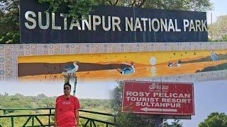 Sultanpur National Park, Near Gurgaon