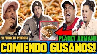 COMIMOS GUSANOS  DEBATE Y TEORIAS: ¿VENIMOS DEL MONO?   PLANET ARMANII! 