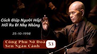 Kinh Độ Người Hấp Hối 02 [CPNĐSNC 53] TS Thích Nhất Hạnh(25-10-1998, Xóm Thượng, Làng Mai)