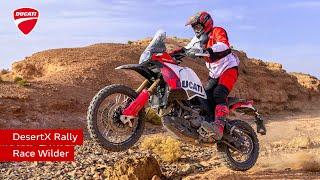 Ducati DesertX Rally | Race Wilder