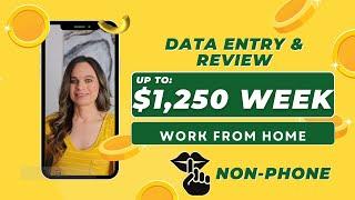 $800 - $1,250 Week Non-Phone Data Entry & Data Review Work From Home Jobs | No Degree Needed | USA