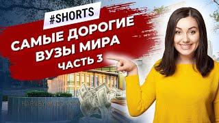 В каких ВУЗах самая высокая стоимость образования? #Shorts