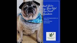 What We're Loving: Blue-tiful Paw Print Bandana