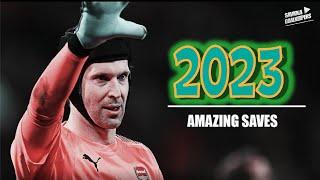 Petr Čech ► Amazing Saves Show - FC Arsenal - HD