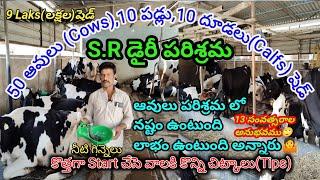 S.R Dairy Farm | పాడి పరిశ్రమ | ఆవుల పూర్తి సమాచారం | 13 సంవత్సరాలు Farm | Mohan Crazy Vlogs