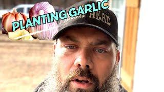Planting Our Garlic Bed.