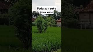 Pedesaan suku jawa kuno pedalaman #suasanapedesaan #suasanadesa #pedesaan #desa