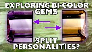 Unboxing Bi-Colored Gems with Jay