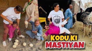 Farm House per Kodu Aa Giya | Kodu Ki Mastiyan | Pakistan Ostrich Farm Brand