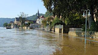 Hochwasser 2024 I Stadt Wehlen I Sächsische Schweiz I 18.09.2024