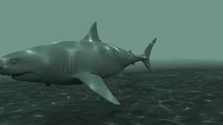 GREATWHITE shark