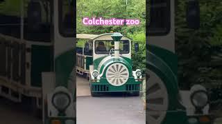 colchester zoo